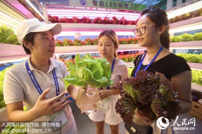 在北京开幕的第十五届中国国际农产品交易会上介绍智能led植物工厂